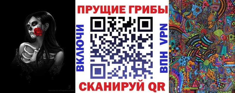 hydra tor  цены   Чудово  Псилоцибиновые грибы ЛСД 
